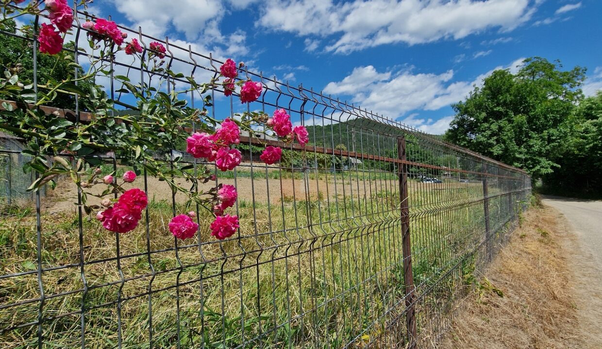 Teren intravilan cu priveliște spre lac – Plopușor, Alexandru cel Bun, 1450 mp