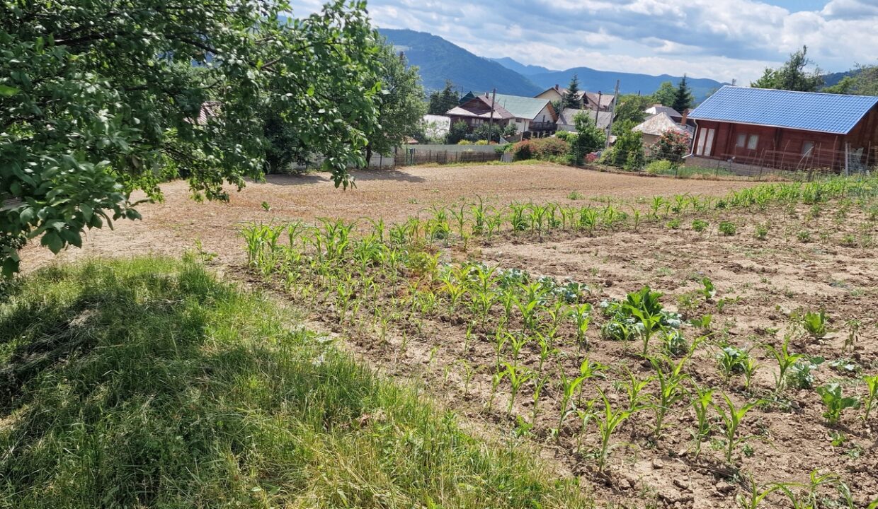 Teren intravilan cu priveliște spre lac – Plopușor, Alexandru cel Bun, 1450 mp