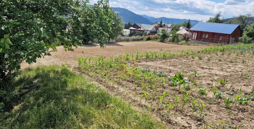 Teren intravilan cu priveliște spre lac – Plopușor, Alexandru cel Bun, 1450 mp
