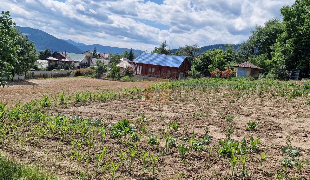Teren intravilan cu priveliște spre lac – Plopușor, Alexandru cel Bun, 1450 mp