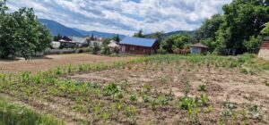 Teren intravilan cu priveliște spre lac – Plopușor, Alexandru cel Bun, 1450 mp