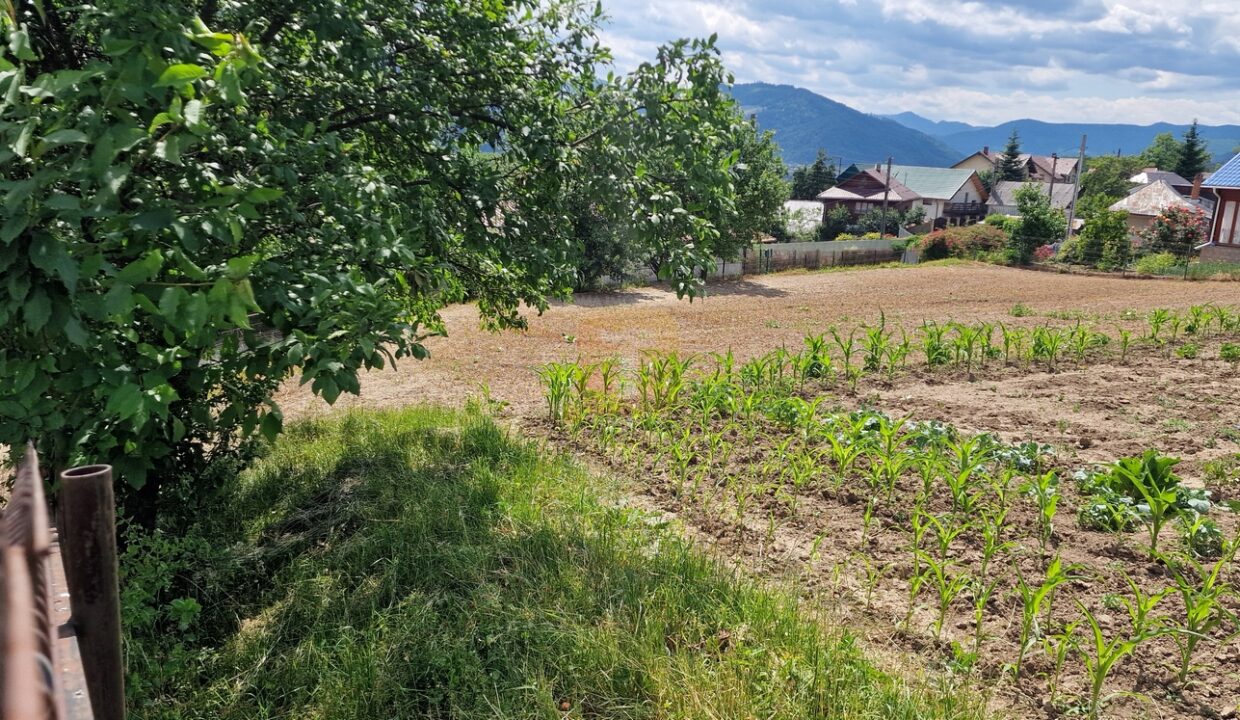 Teren intravilan cu priveliște spre lac – Plopușor, Alexandru cel Bun, 1450 mp