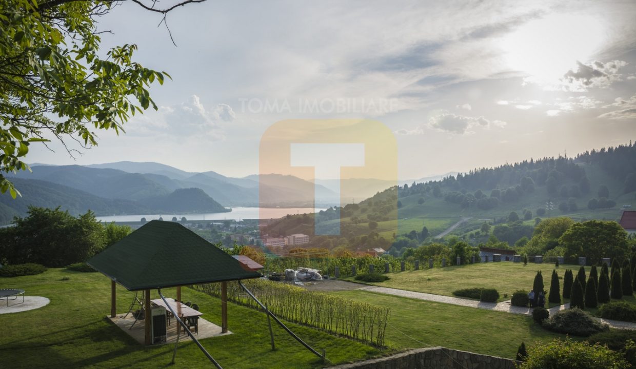 Teren 12000 mp Piatra Neamț