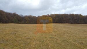Teren extravilan, 10000 mp, Gârcina, zona Balaur