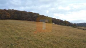 Teren extravilan, 10000 mp, Gârcina, zona Balaur