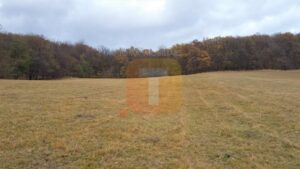 Teren extravilan, 10000 mp, Gârcina, zona Balaur