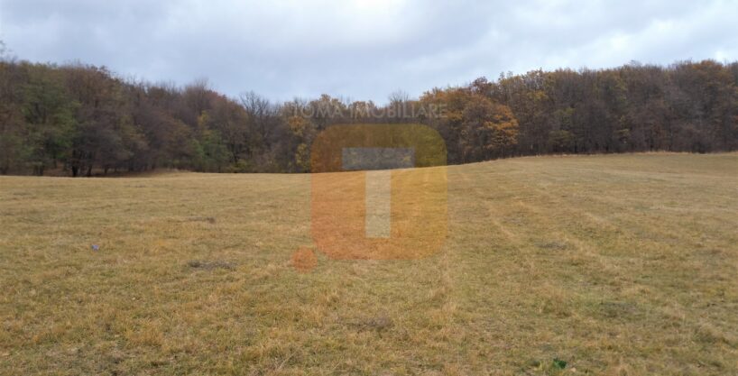 Teren extravilan, 10000 mp, Gârcina, zona Balaur