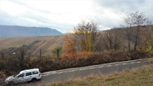 Teren extravilan, 10000 mp, Gârcina, zona Balaur