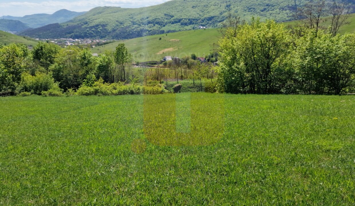 20250429_141223 (Copy)