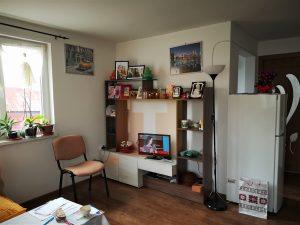 Vilă P+E, comuna Stefan cel Mare, 2400 mp teren, locuibilă
