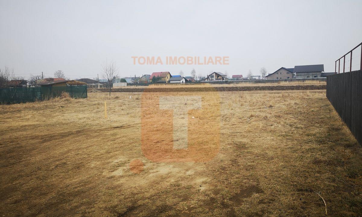 Teren intravilan, str. Crângului, Dumbrava Roșie