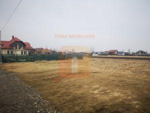 Teren intravilan, str. Crângului, Dumbrava Roșie