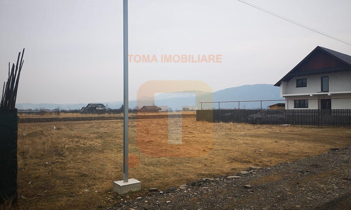 Teren intravilan, str. Crângului, Dumbrava Roșie