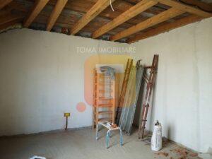 Vilă, P+M, sat Turturești, com. Girov