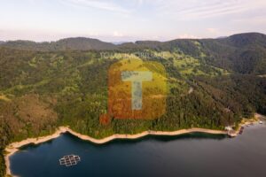 Teren 8, 3 ha, extravilan, Bicaz