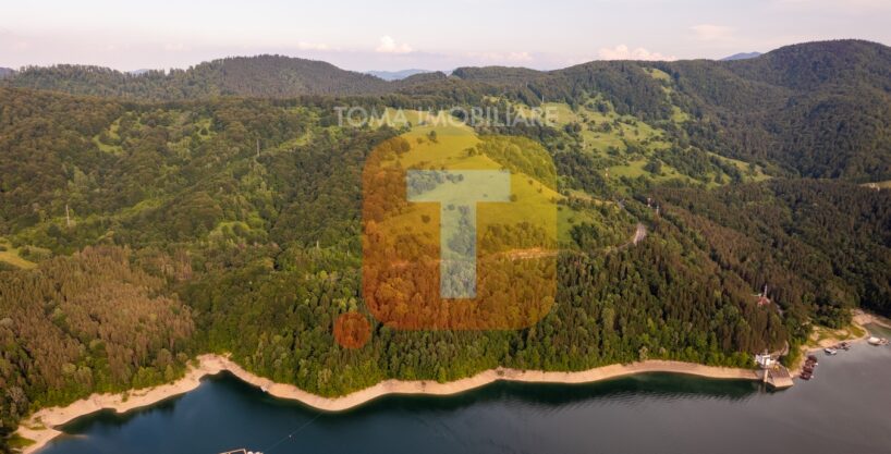 Teren 8, 3 ha, extravilan, Bicaz
