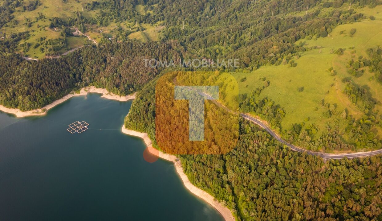 Teren 8, 3 ha, extravilan, Bicaz