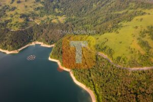 Teren 8, 3 ha, extravilan, Bicaz