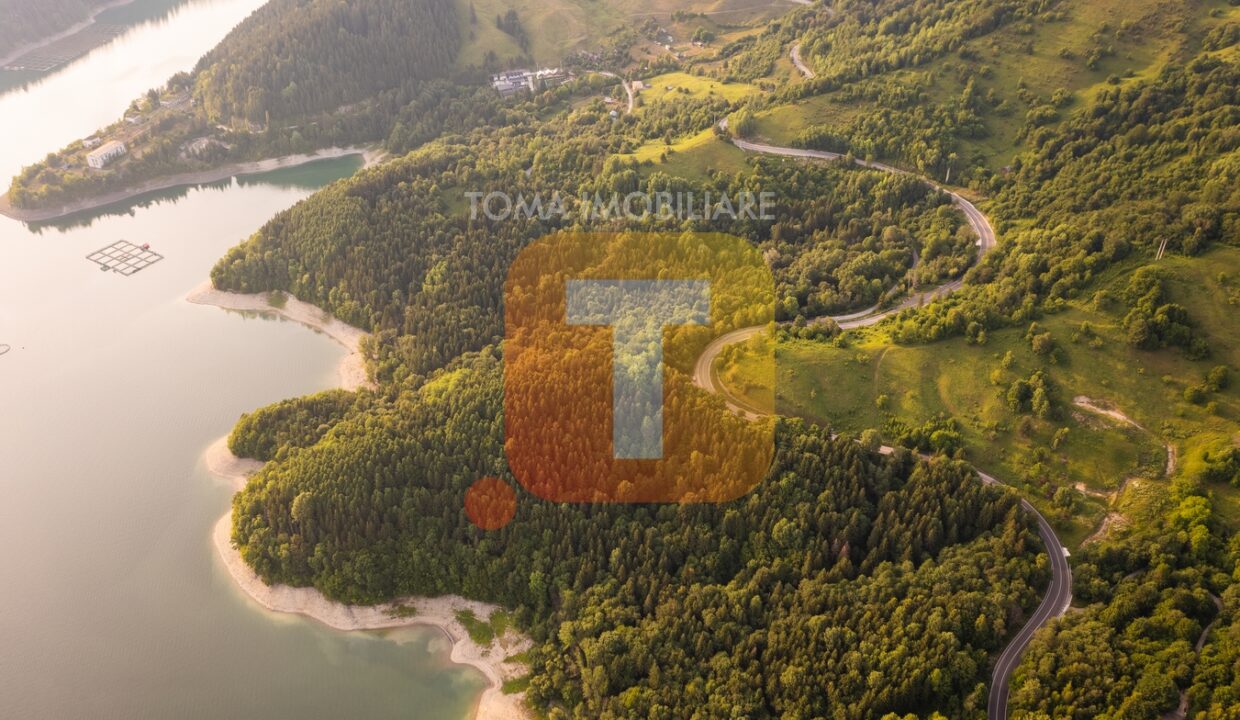 Teren 8, 3 ha, extravilan, Bicaz