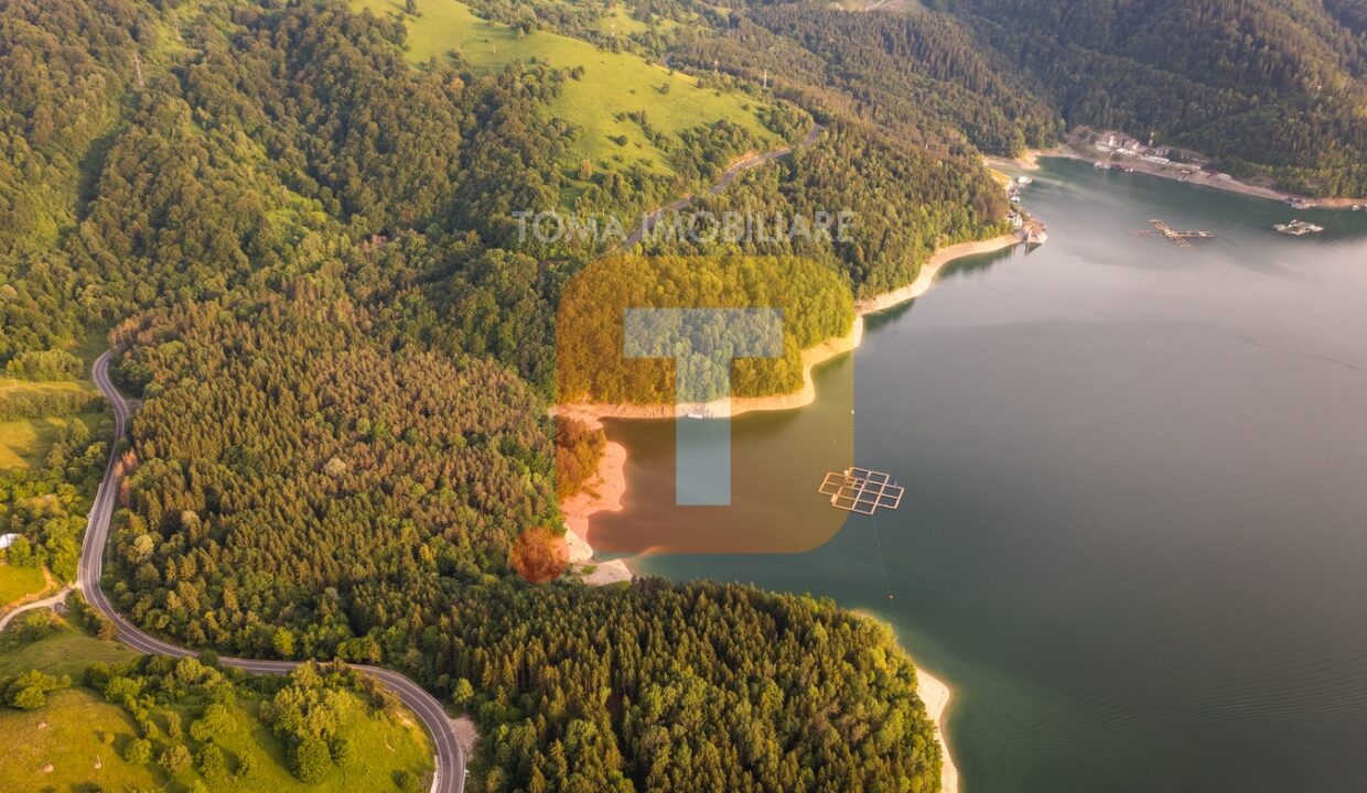 Teren 8, 3 ha, extravilan, Bicaz