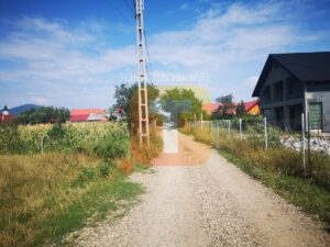 Teren 1500 mp, intravilan Dumbrava Roșie