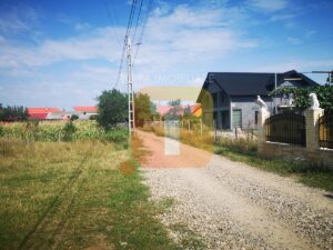 Teren 1500 mp, intravilan Dumbrava Roșie
