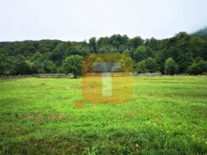 Teren intravilan, 4700 mp, Legin, com. Pipirig