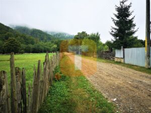Teren intravilan, 4700 mp, Legin, com. Pipirig