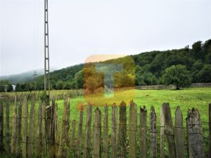 Teren intravilan, 4700 mp, Legin, com. Pipirig