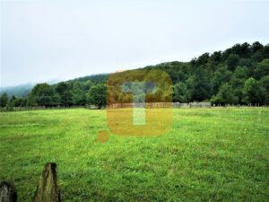 Teren intravilan, 4700 mp, Legin, com. Pipirig