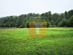 Teren intravilan, 4700 mp, Legin, com. Pipirig