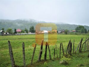 Teren intravilan, 4700 mp, Legin, com. Pipirig