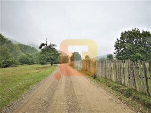 Teren intravilan, 4700 mp, Legin, com. Pipirig