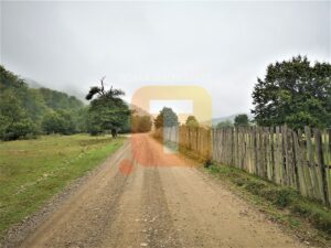 Teren intravilan, 4700 mp, Legin, com. Pipirig