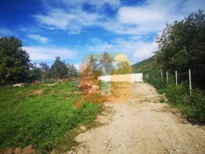 Teren 138m, intravilan, Alexandru cel Bun