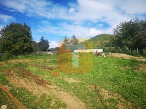 Teren 138m, intravilan, Alexandru cel Bun