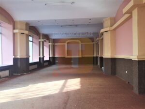 Spațiu comercial, Piatra Neamț, B-dul Traian, 246 mp