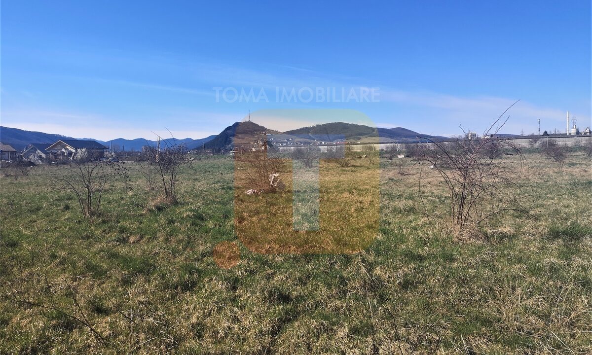 Teren intravilan, Piatra Neamț, 6440 mp, zona Regiment, str. Nordului