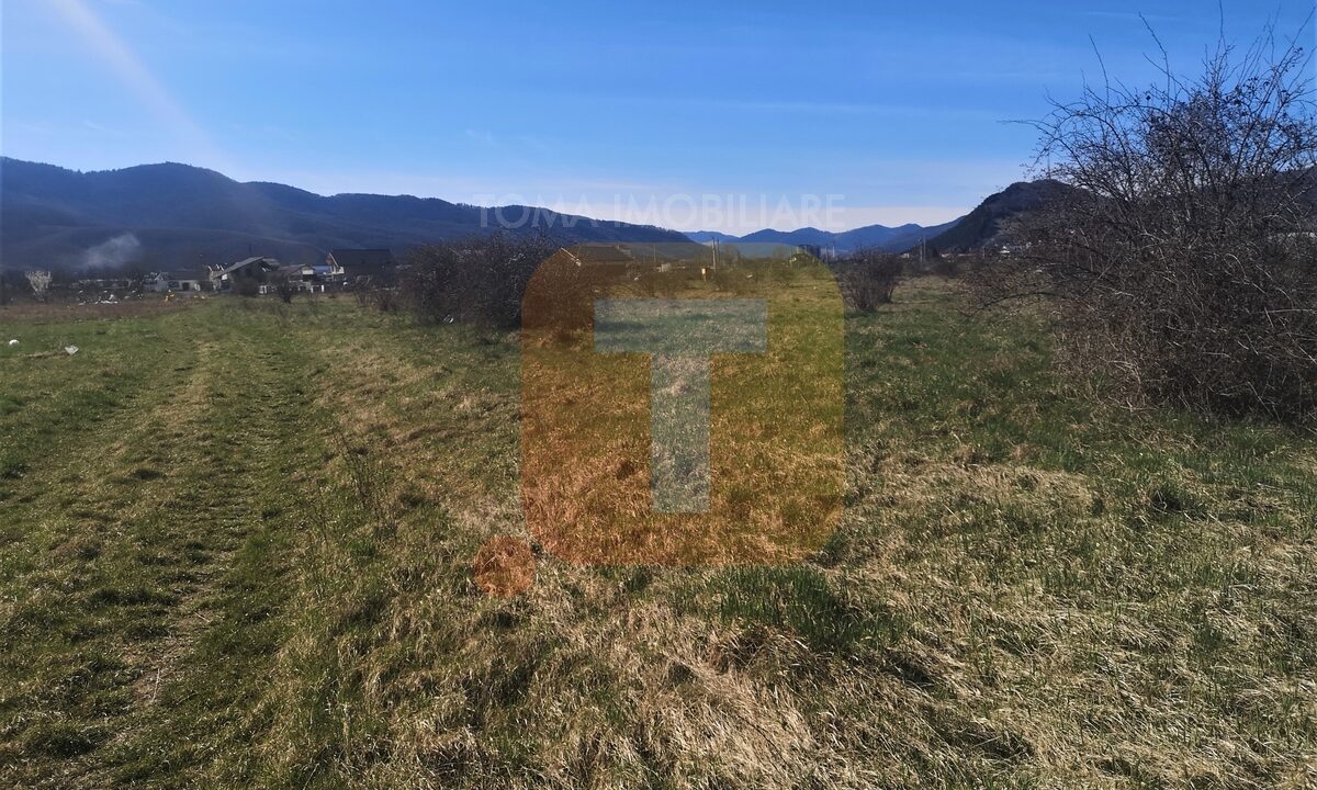 Teren intravilan, Piatra Neamț, 6440 mp, zona Regiment, str. Nordului