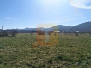 Teren intravilan, Piatra Neamț, 6440 mp, zona Regiment, str. Nordului