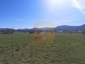 Teren intravilan, Piatra Neamț, 6440 mp, zona Regiment, str. Nordului