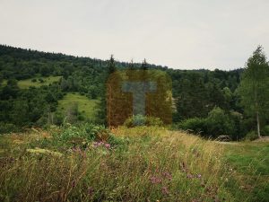 Teren intravilan, 5000 mp, Durău, com. Ceahlău
