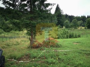 Teren intravilan, 5000 mp, Durău, com. Ceahlău