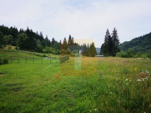 Teren intravilan, 5000 mp, Durău, com. Ceahlău