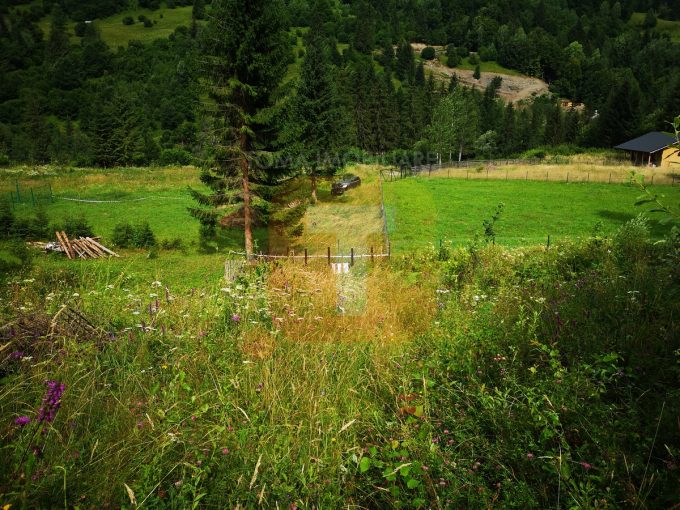 Teren intravilan, 5000 mp, Durău, com. Ceahlău