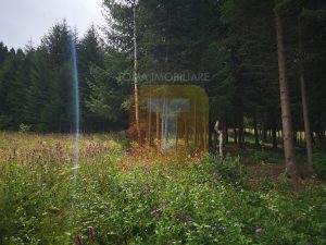 Teren intravilan, 5000 mp, Durău, com. Ceahlău
