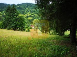 Teren intravilan, 5000 mp, Durău, com. Ceahlău