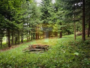 Teren intravilan, 5000 mp, Durău, com. Ceahlău