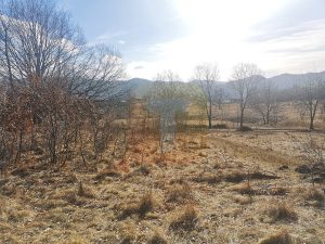 Teren 1800 mp intravilan, Bistrița, zona Gloduri