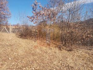 Teren 1800 mp intravilan, Bistrița, zona Gloduri